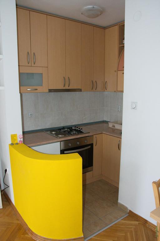 Studio Apartment In Novi Sad Center Εξωτερικό φωτογραφία