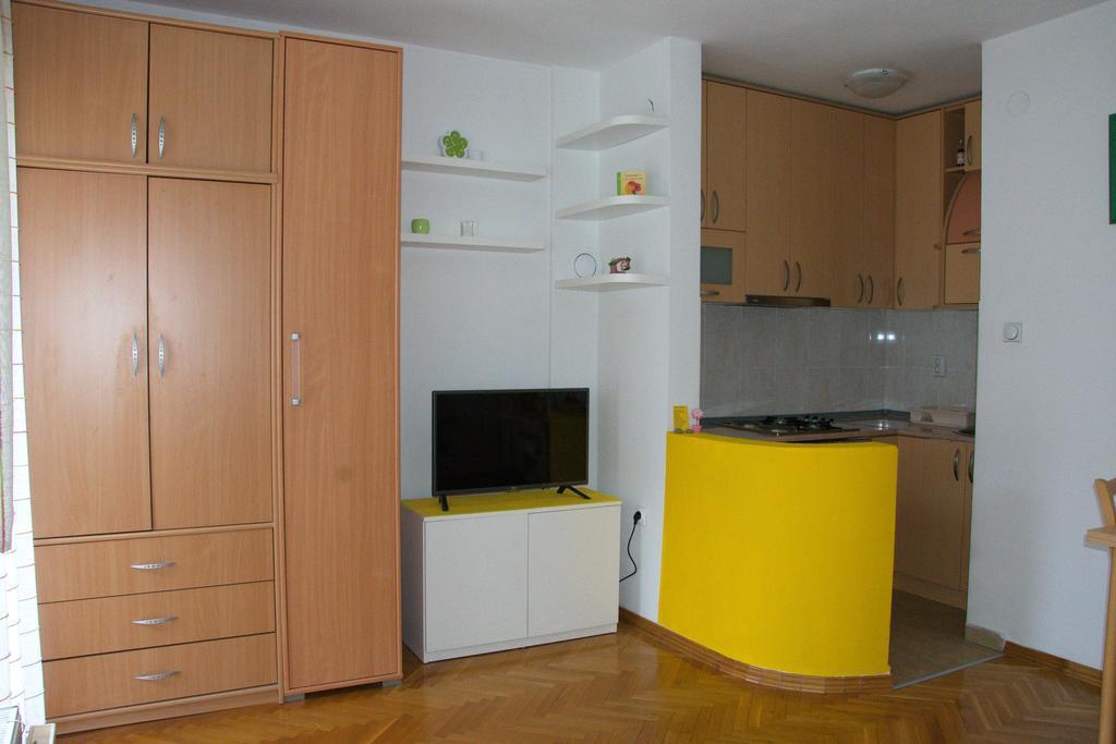 Studio Apartment In Novi Sad Center Εξωτερικό φωτογραφία